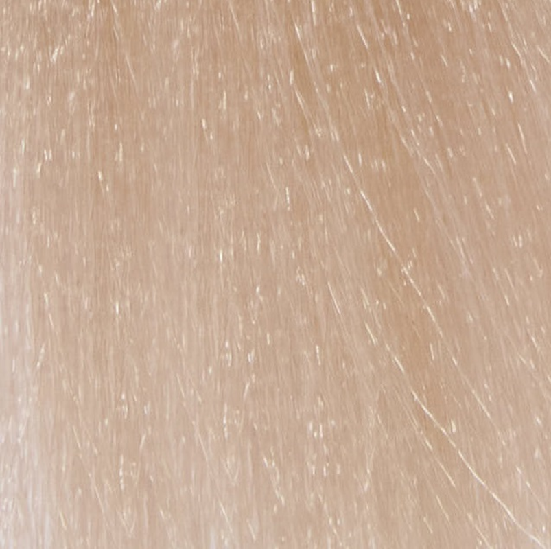 INSIGHT 11.10 краска для волос, платиново-пепельный блондин / INCOLOR 100 мл, фото 1