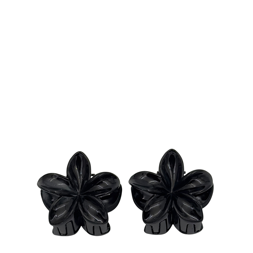 IWOU PROFESSIONAL Краб для волос малый Франжипани черный глянец 4*4см 2шт, фото 1