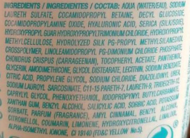 SALERM COSMETICS Шампунь для сухих и поврежденных волос / Salerm 21 300 мл, фото 3