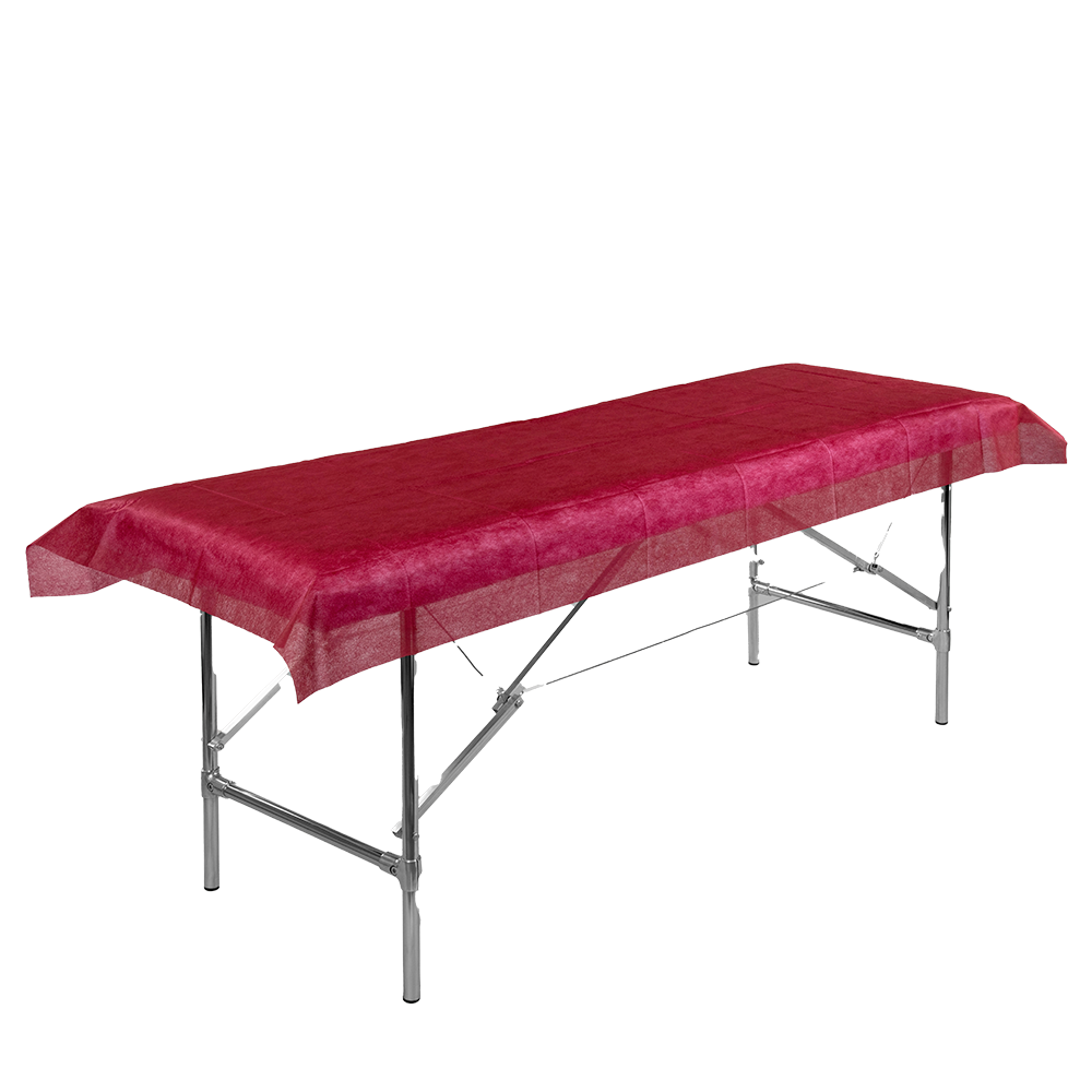 ЧИСТОВЬЕ Простыня SMS Стандарт бордовый 200 х 80 20 шт (поштучно), фото 5