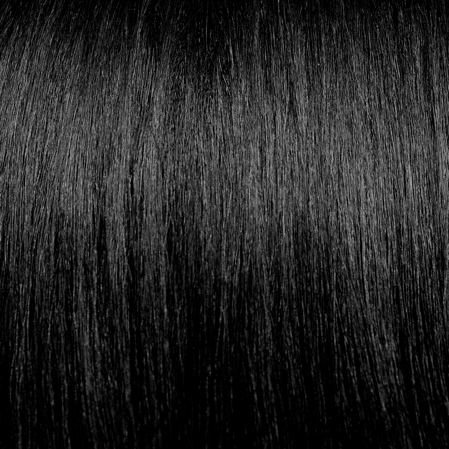 LISAP MILANO 1/0 крем-краска безаммиачная, черный / Filter Douscolor 60 мл, фото 1