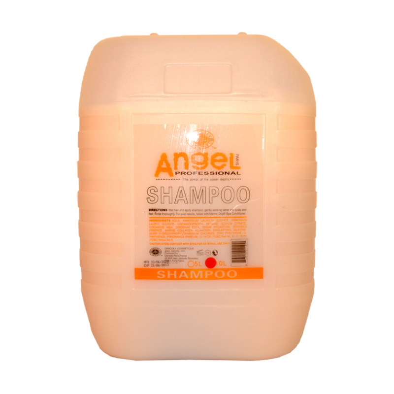 ANGEL PROFESSIONAL Шампунь для сухих и нейтральных волос / Angel Professional 10000 мл, фото 1