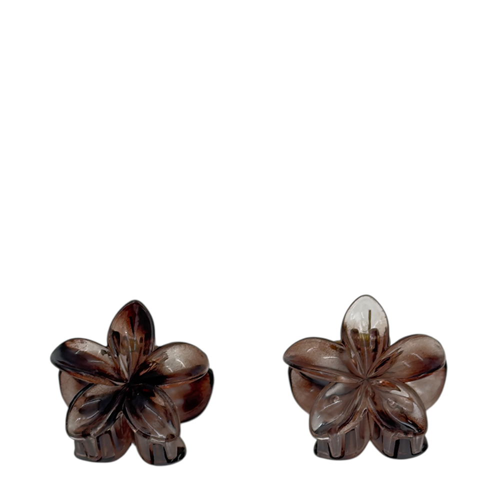 IWOU PROFESSIONAL Краб для волос малый Франжипани розово-коричневый глянец 4*4см 2шт, фото 1