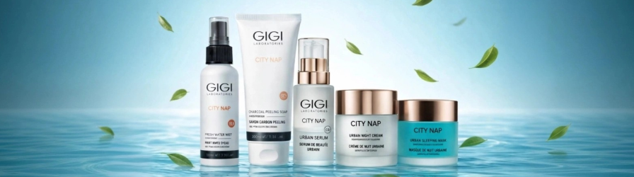 City NAP - Линия защиты от урбанистического старения.png