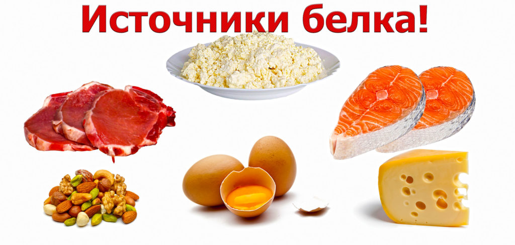 Белок belok-istochniki-1024x487.jpg