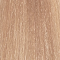 10.31 краска для волос, экстра светлый блондин бежевый / PERMESSE 100 мл