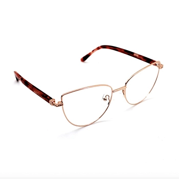 FRANCESCA FEDUCCI Оправа для очков 4621 c2 / FRANCESCA FEDUCCI, фото 2