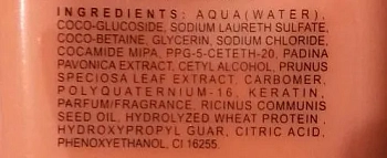 ANGEL PROFESSIONAL Шампунь защита цвета окрашенных волос / Color Protect Shampoo 500 мл, фото 2