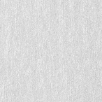 ЧИСТОВЬЕ Салфетка спанлейс 15*20 см белый 100 шт/уп, фото 4