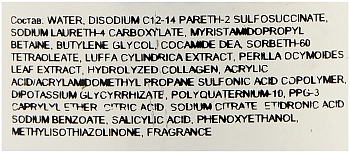 LEBEL Шампунь восстанавливающий для волос и кожи головы / Viege Shampoo 1000 мл, фото 2