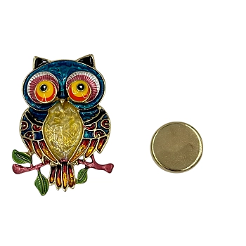 IWOU PROFESSIONAL Брошь-магнит Мудрая сова в серебре, фото 2