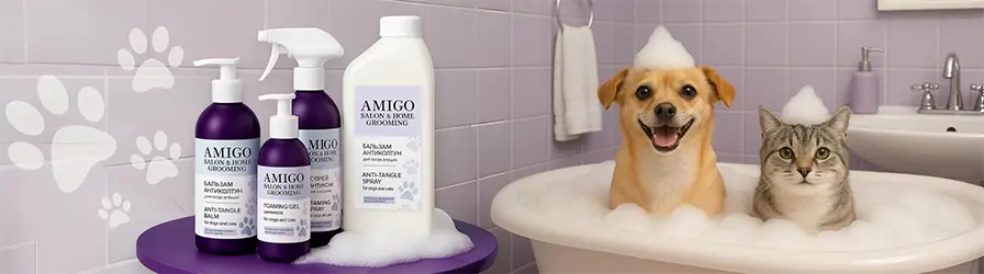 AMIGO