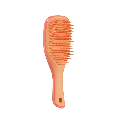 TANGLE TEEZER Расческа для волос / The Ultimate (Wet) Detangler Mini Salmon Pink & Apricot - 1