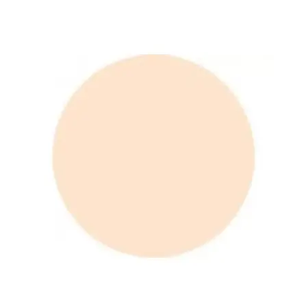 ANNA LOTAN Пудра камуфляжная SPF 17 №0 / Concealing Powder Foundation Pale MAKEUP 14 г - 2