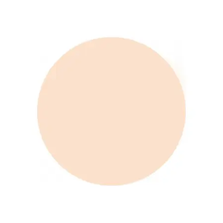 ANNA LOTAN Крем тональный для жирной проблемной кожи №0 / Oil Free Formula MAKEUP 30 мл - 2