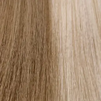 10.0 гель-краситель для волос без аммиака / Shine Shades 60 мл